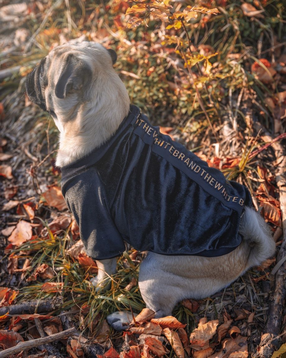 32szt welurowe aksamitne bluzy dla psa różne rozmiary i kolory