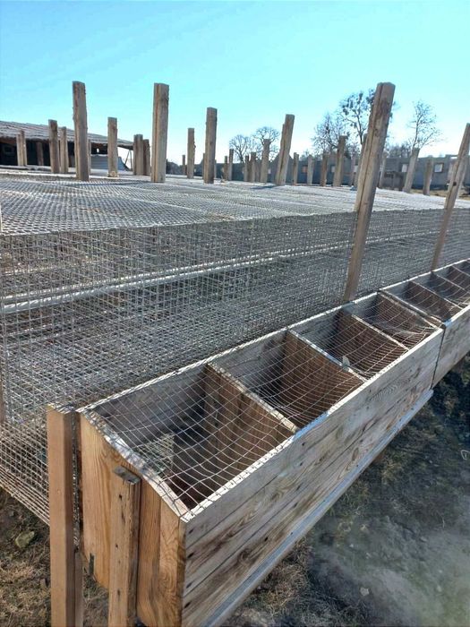 Клітки для кролів