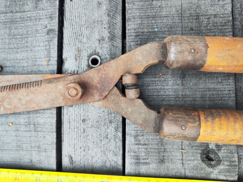 Nożyce do renowacji