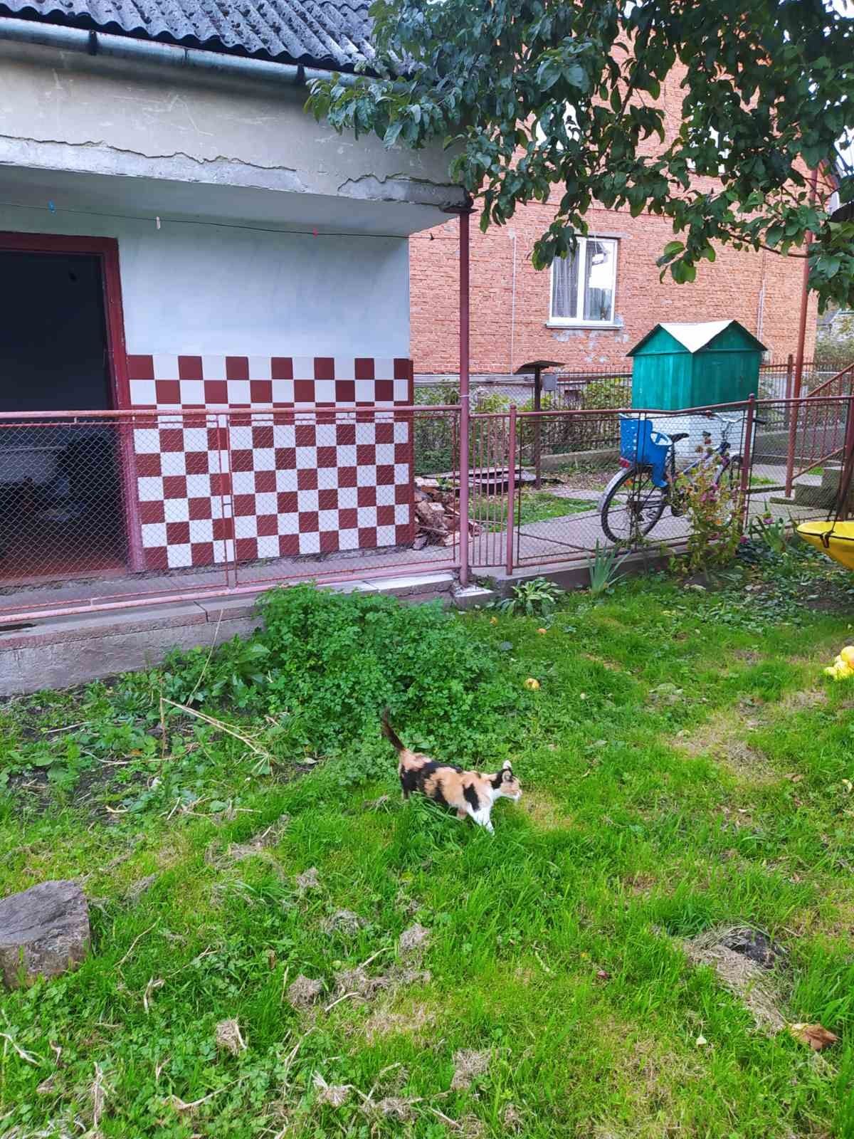 Продається будинок
