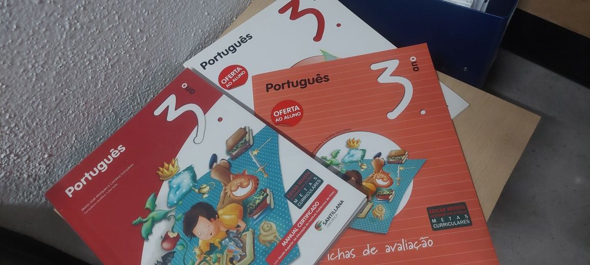 Livro Fichas e Manuais Escolares 3º Ano