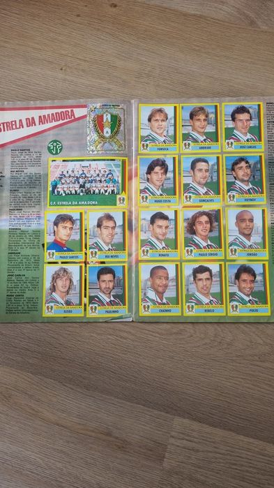 Caderneta Panini 95/96