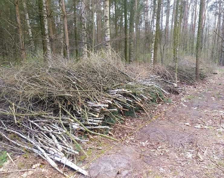 RĘBAK - Zrębkowanie, mielenie, rozdrabnianie gałęzi