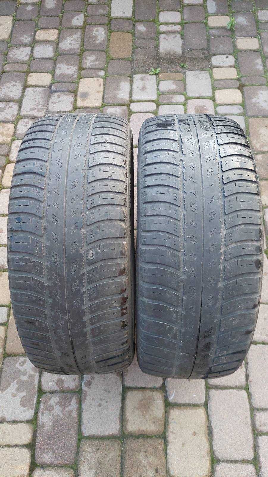 Шина 225/50/R17  легкові 2шт зима Goodyear