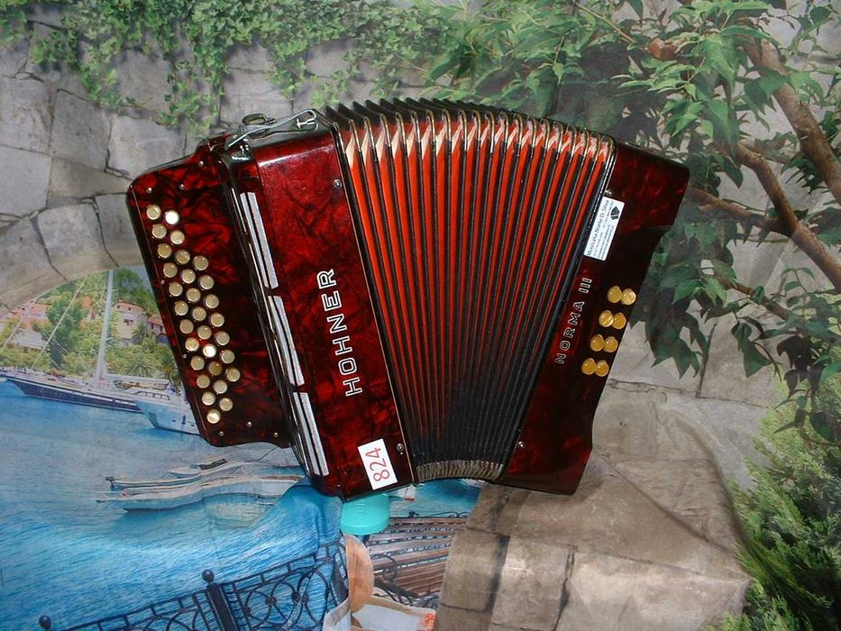 Concertinas a venda N.824