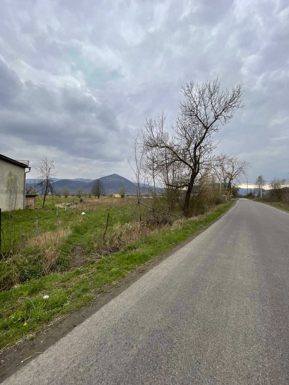 продається земельна ділянка в м. Тячеві