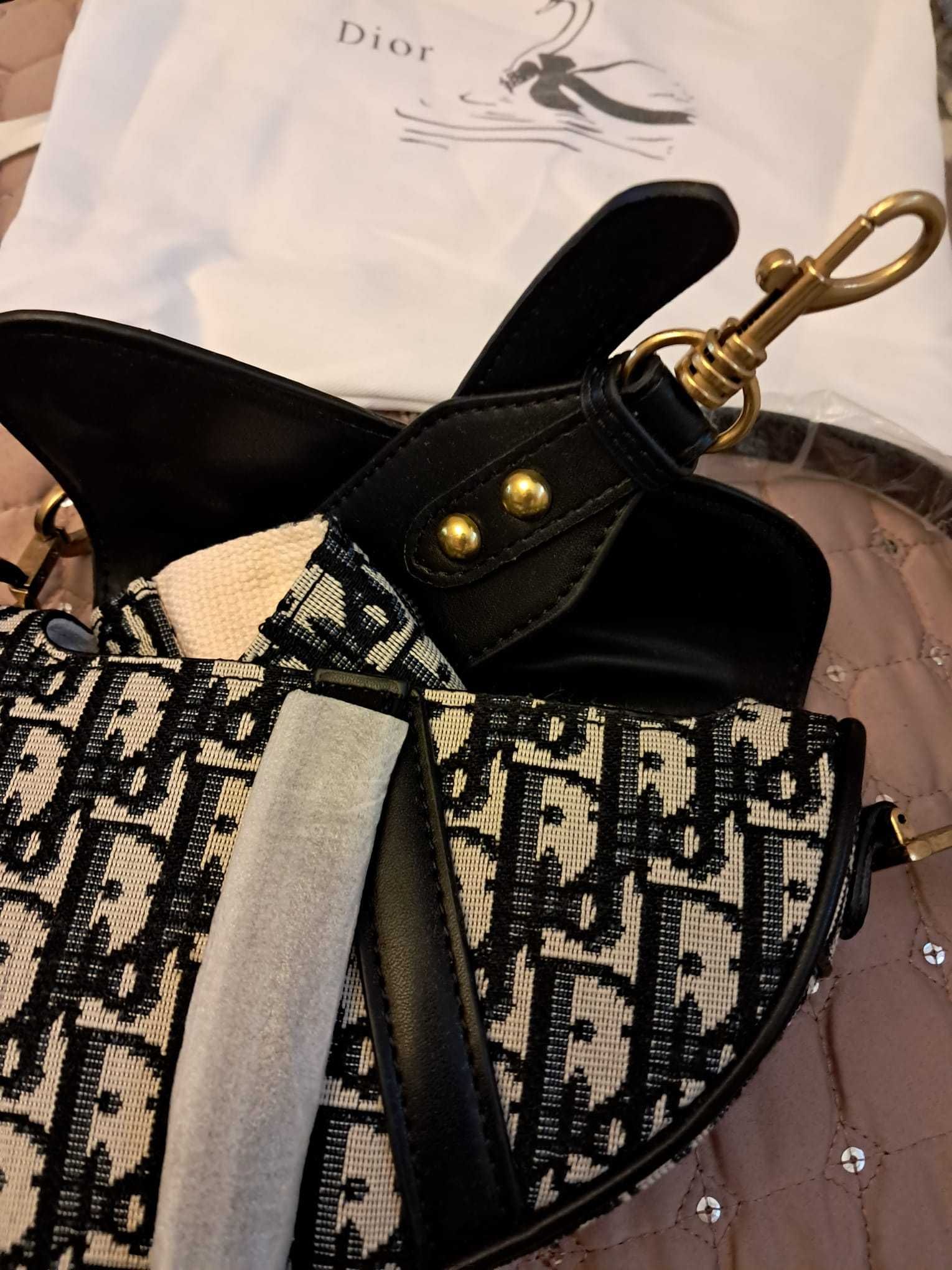 Torebka nerka Dior mini Saddle