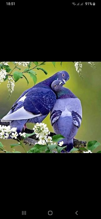 Няня ищет работу