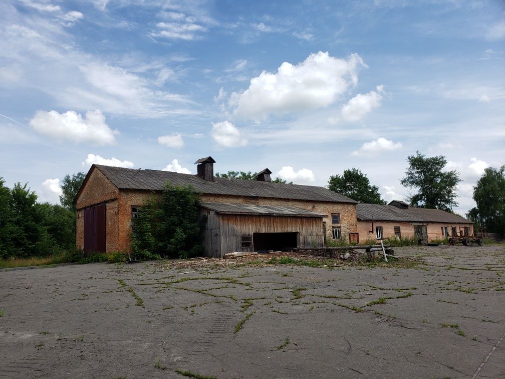 Продається виробниче приміщення  с. Серби