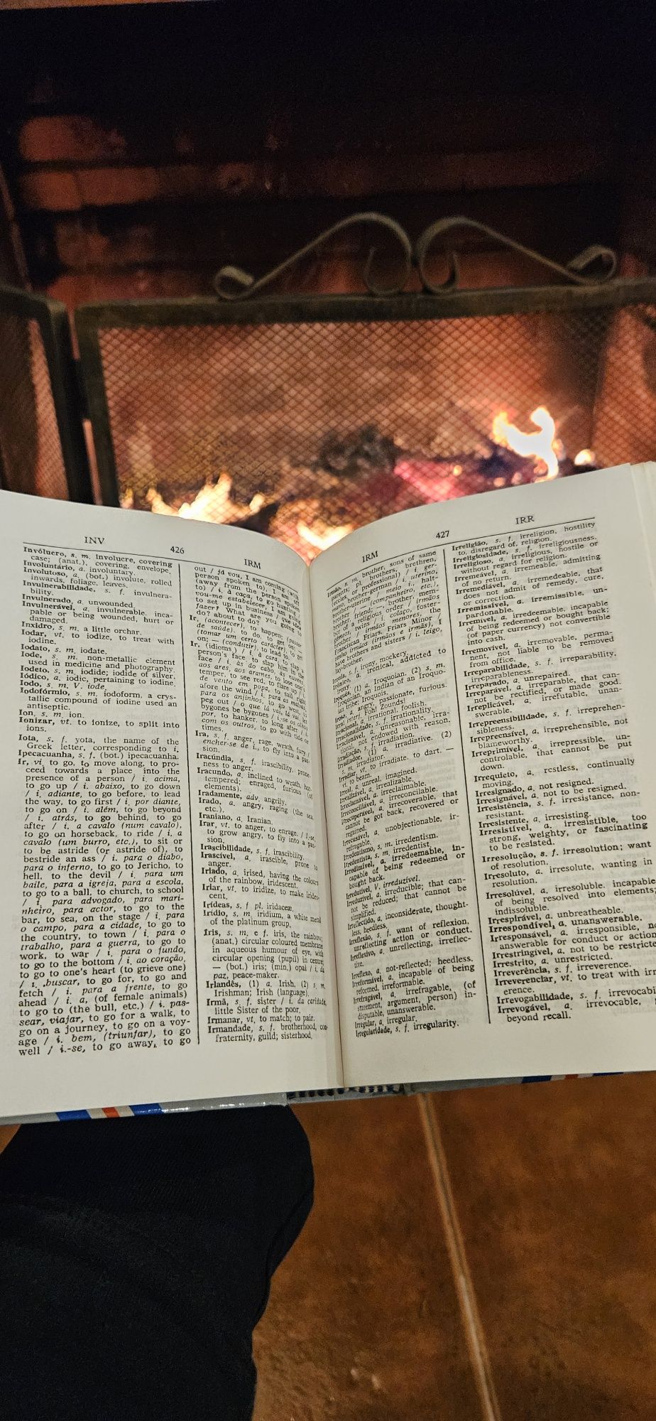 Dicionário Português-Inglês