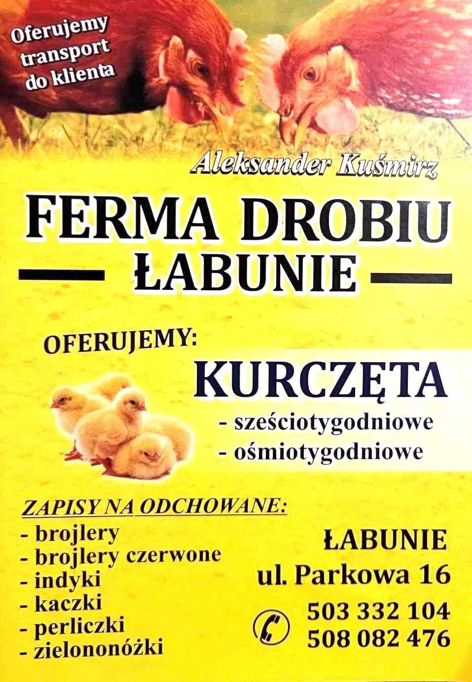 Sprzedaż Kurcząt i Drobiu ŁABUNIE