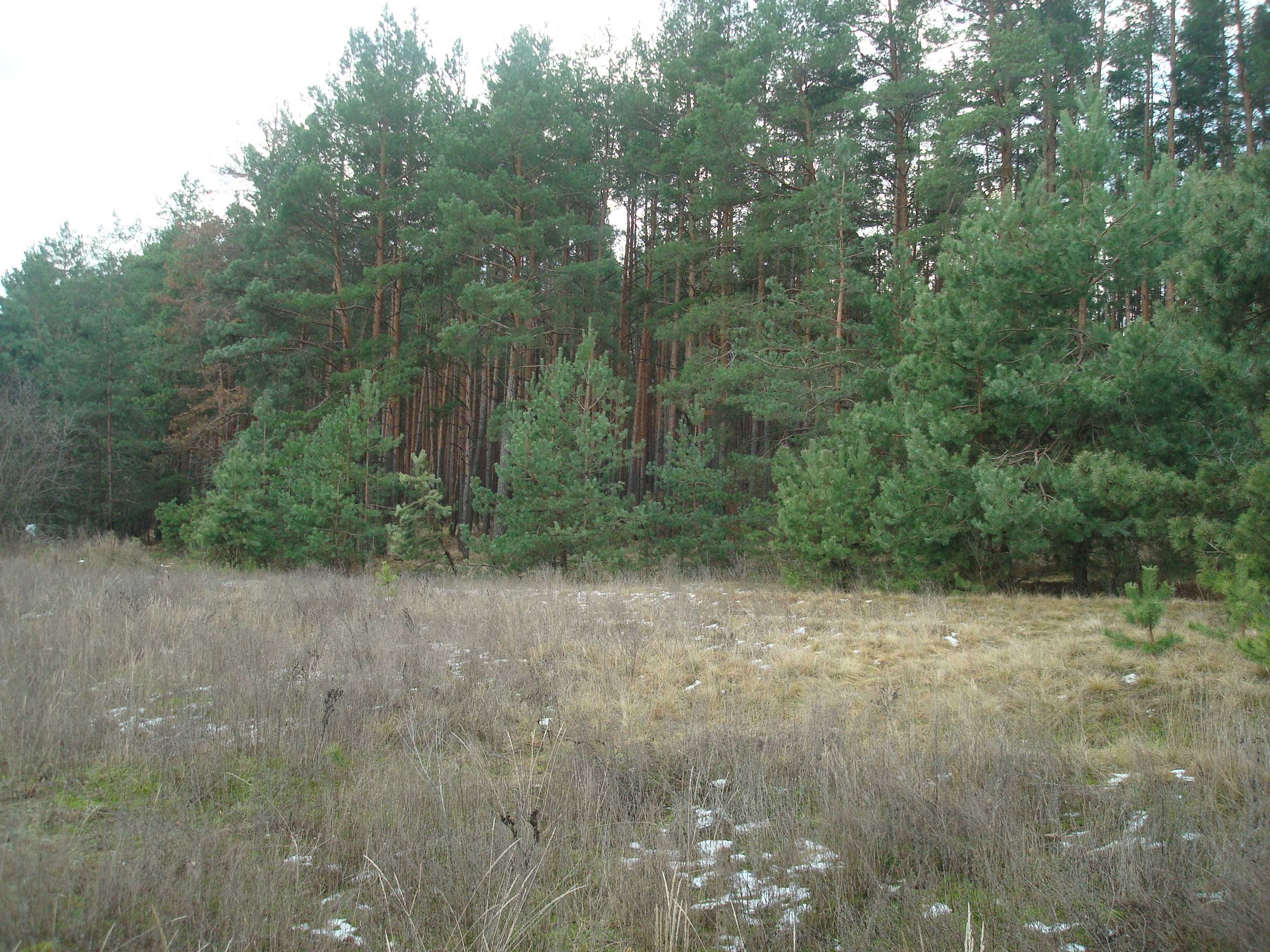 Продам земельну ділянку під будівництво в с. Чорнявка