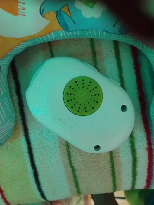 Leniwiec z lusterkiem friszer Paris