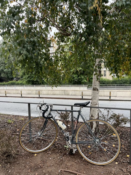 Bicicleta retro orbita
