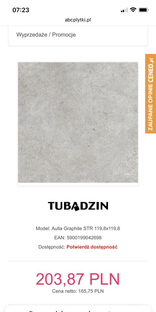 TUBĄDZIN Aulla Graphite STR Gres 119,8x119,8