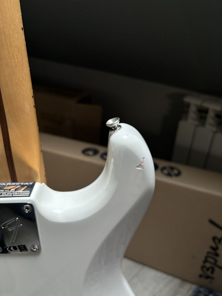 Fender Player Stratocaster MN PWT