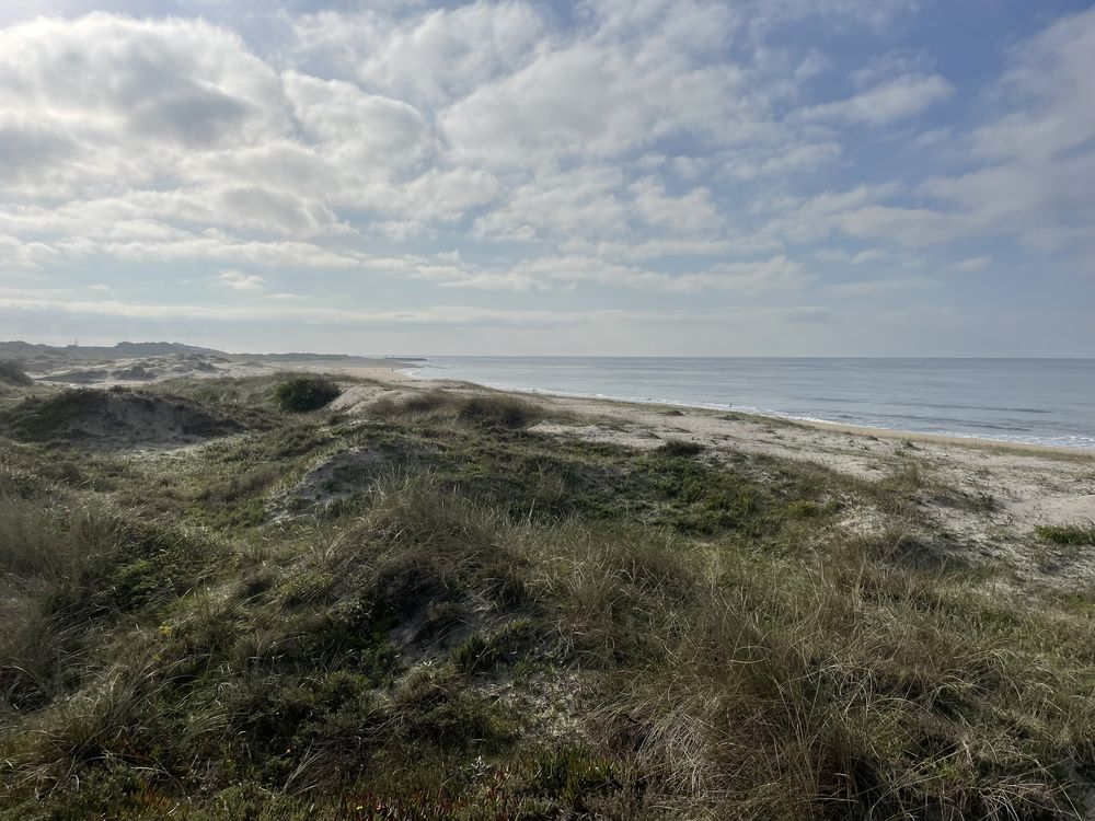 Vende se terreno rustico perto da praia