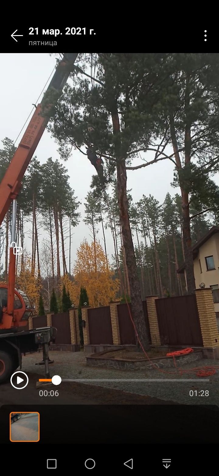 Спилим дерева , авто вишка удаления , кронировання,зризаня,валка автов