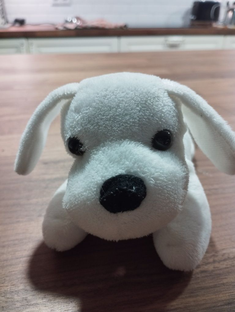 Cães de peluche fofinhos