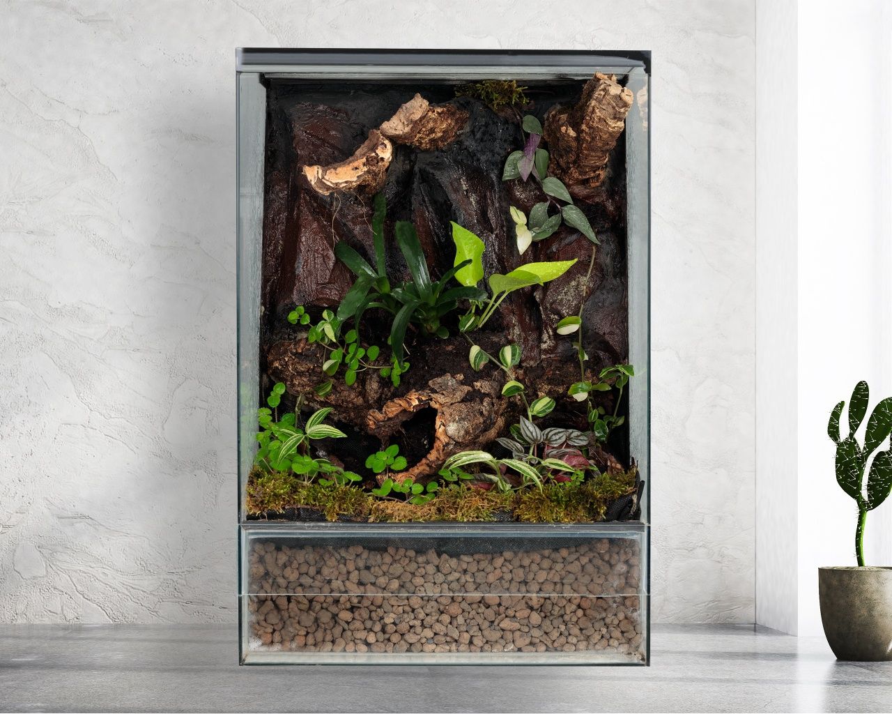 Terrarium 40x40x60 gekon jaszczurka