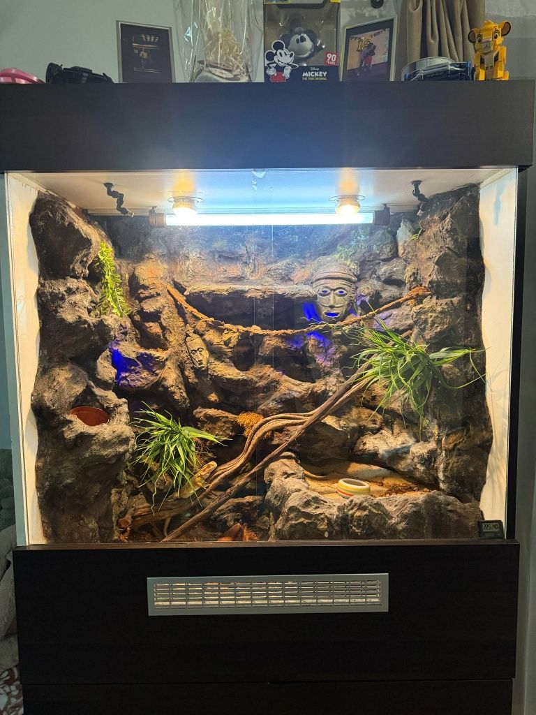 Terrarium robione na zamówienie!