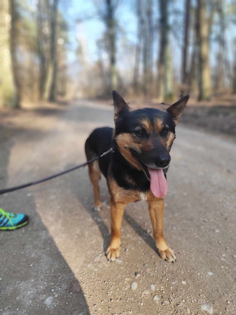Kochana Frida czeka na dom