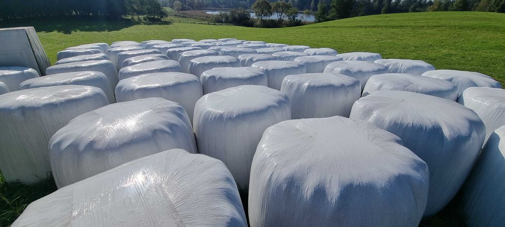 siano kiszonka baloty 120