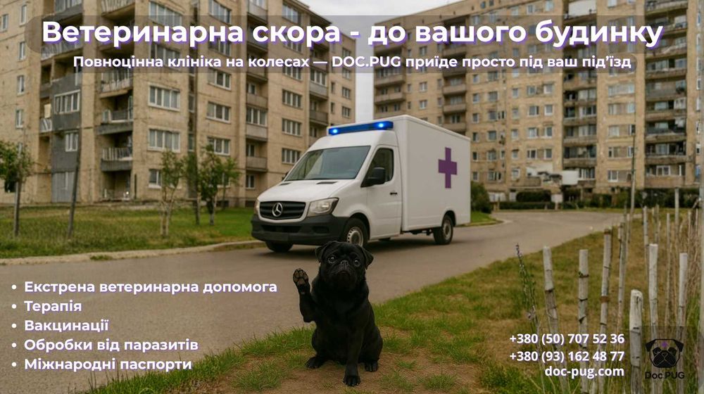 Ветеринарна клініка на дом! Швидка ветеринарна допомога!