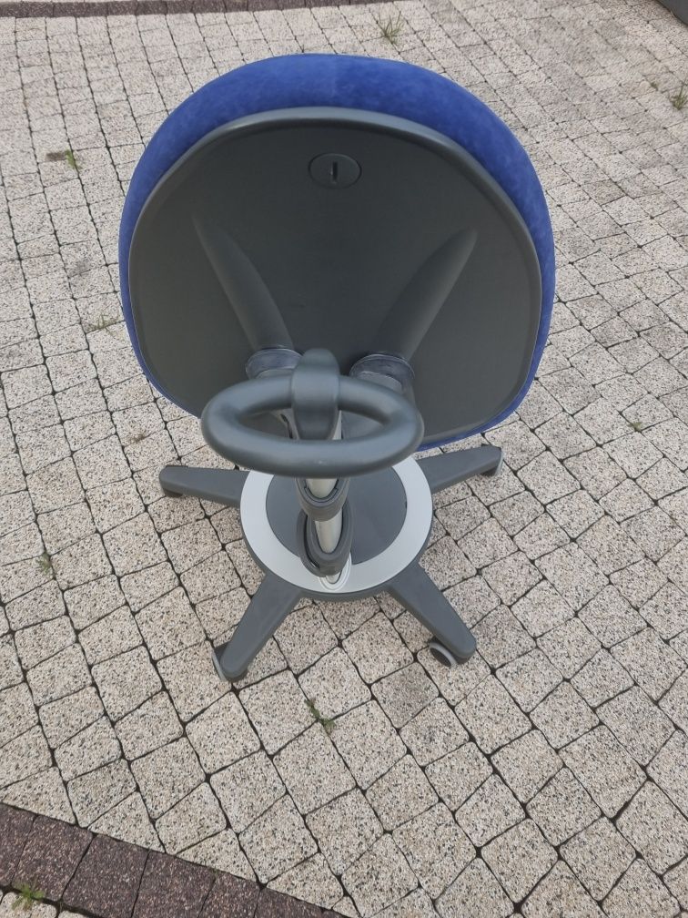 Moll Maximo krzesło ergonomiczne