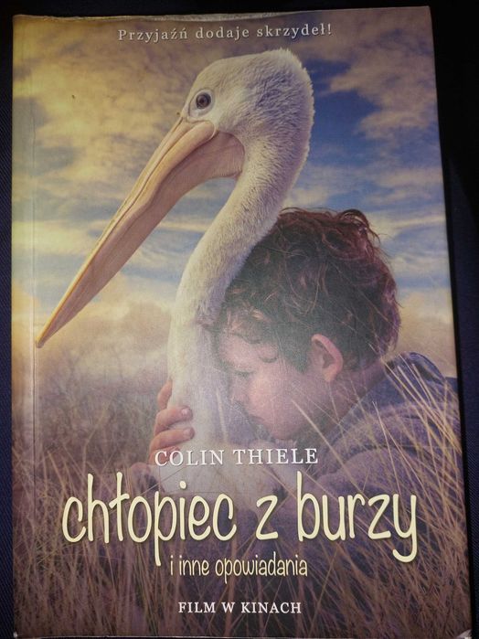 Chłopiec z burzy - Colin Thiele