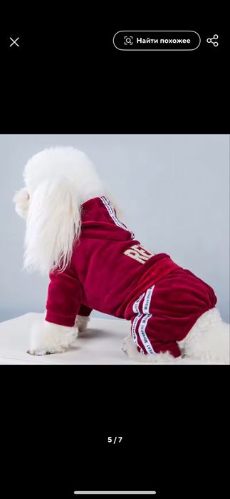 Одяг для собак , комбінезон, костюм