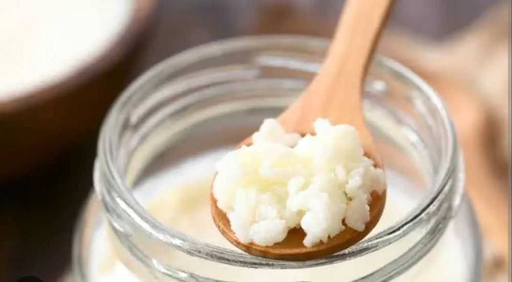 Sementes de Kefir em Leiria, Lisboa e Torres Vedras.