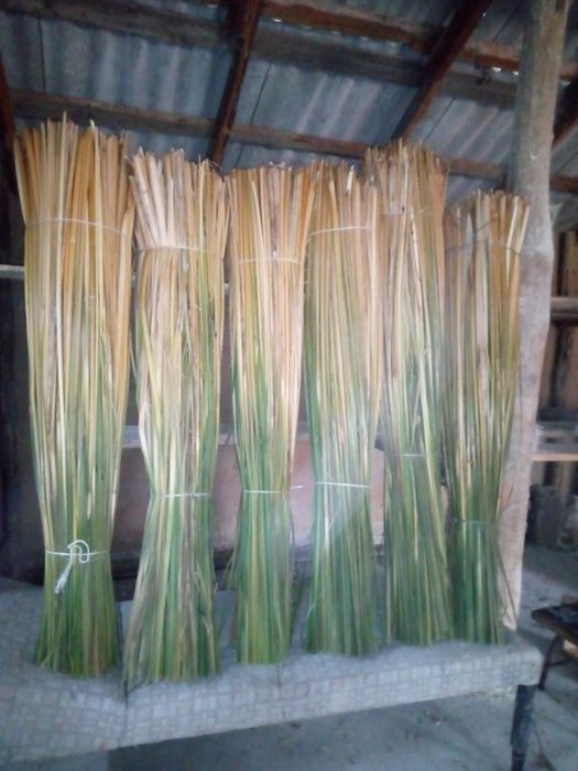 Продам рогоз цього річний є п'ядесят снопів