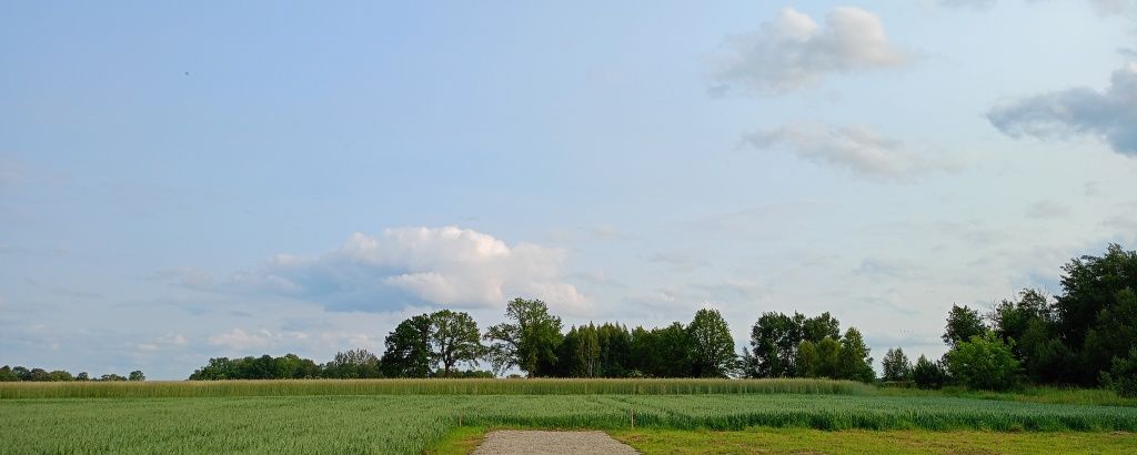 Działki pod zabudowę 1000 m² gm. Gorzkowice