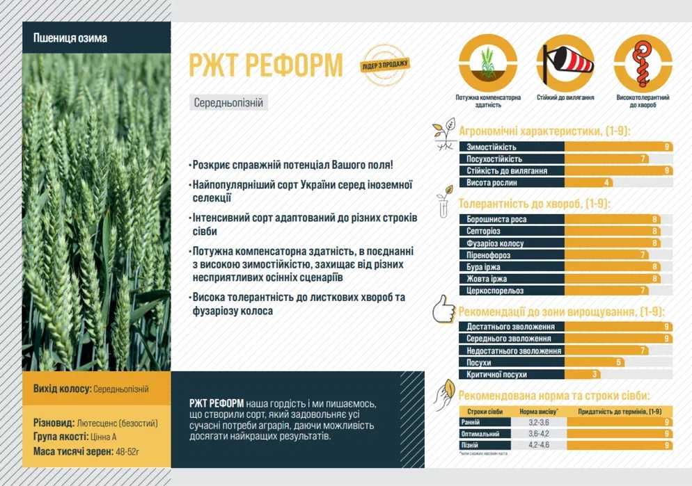 Насіння озимої пшениці та озимого ячменю