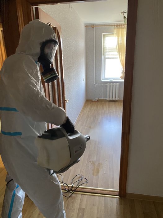 100% знищення тарганів клопів блох щурів мишей плісняви комарів мух