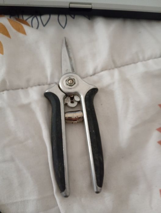 Sekator ogrodowy ręczny