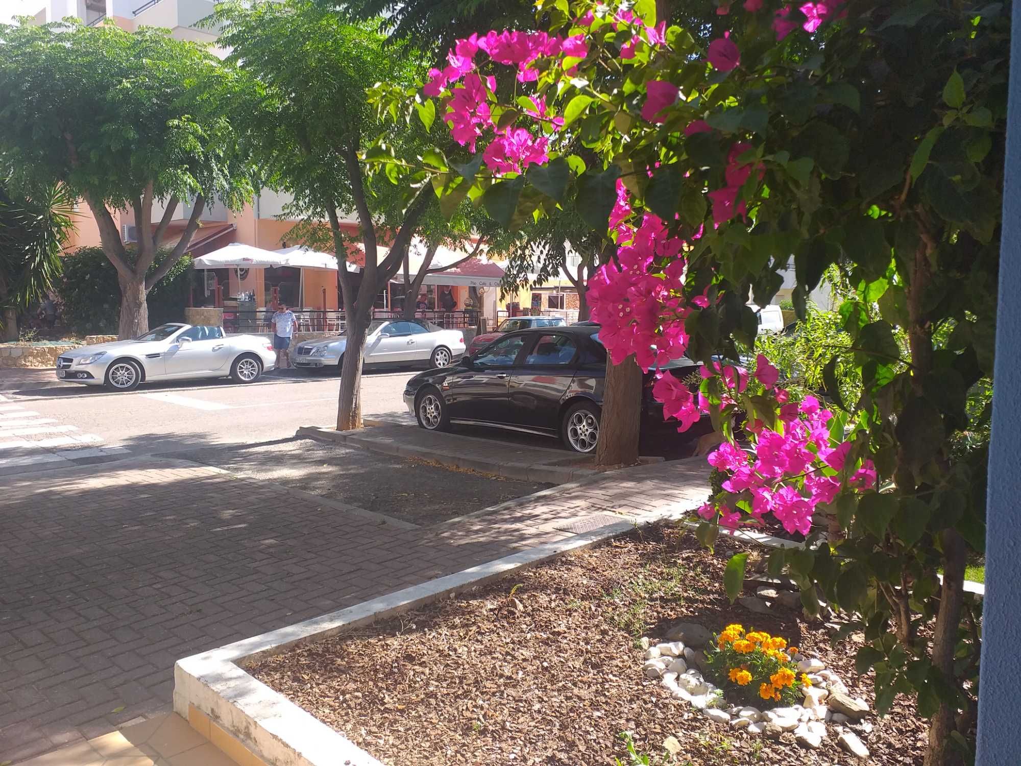 Vendo ou Arrendo - moradia em Tavira - Mato Santo Espirito