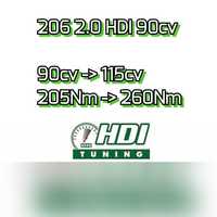 Stage 1 - 206 2.0Hdi