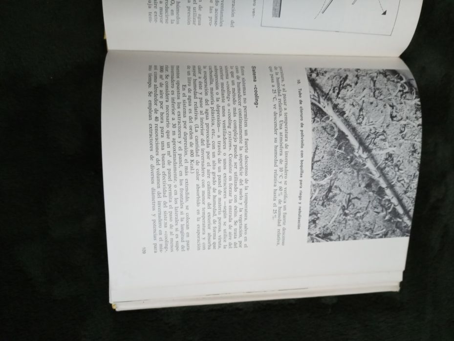 Cultivos Ornamentales	- Jesús Miranda de Larra y de Onís 1975 1 Edição