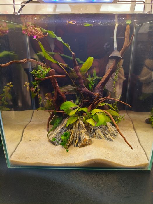 Akwarium 30L bogaty zestaw