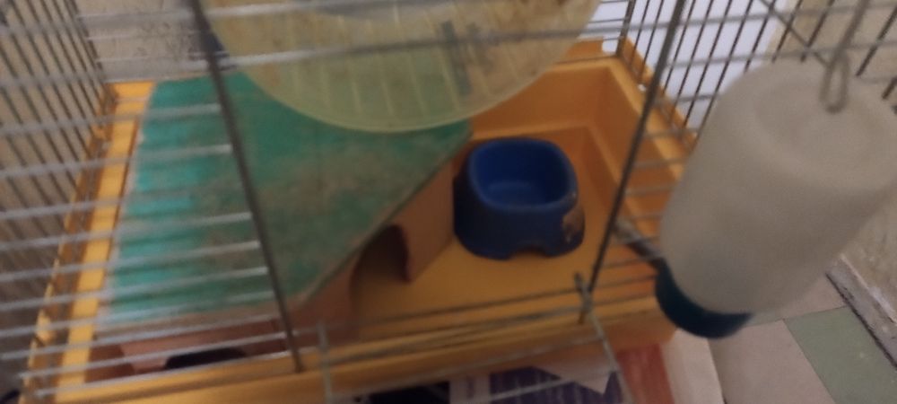 Продам клетку для хомяка