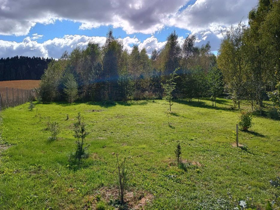 Działka budowlana WZ dom rekreacyjny całoroczny - koło lasu i jeziora