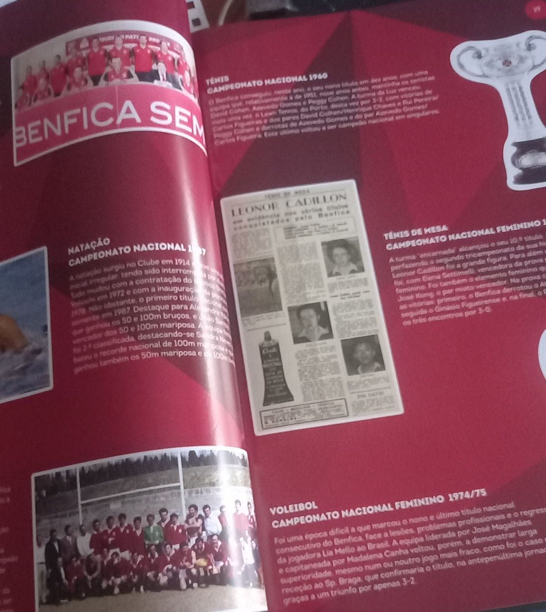 SLB o livro do fã BENFICA como novo e sem colagens