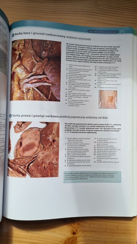 Polsko-Angielski Atlas Anatomii Klinicznej McMinn & Abrahams