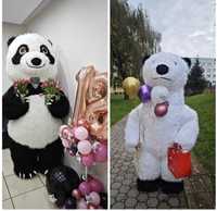 Miś Panda ,Biały Miś niespodzianka imprezowa