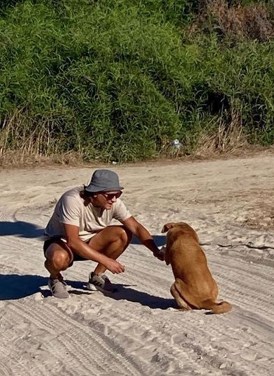 Happy Paws - Passeios fiáveis e seguros em Almada e Lisbon