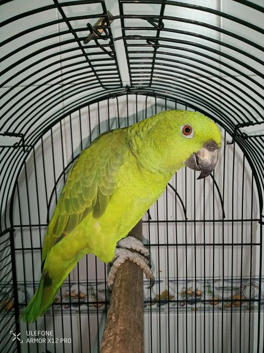 Vendo ou troco tudo completo