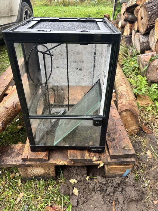 Terarium dla gada