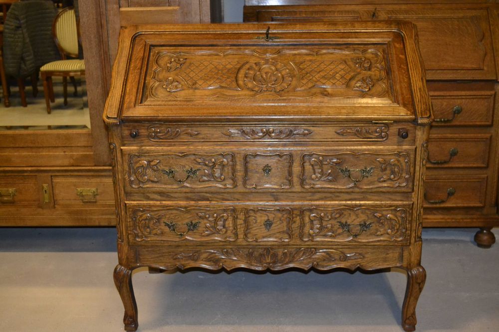 sekretarzyk ludwikowski .lity dąb .#2